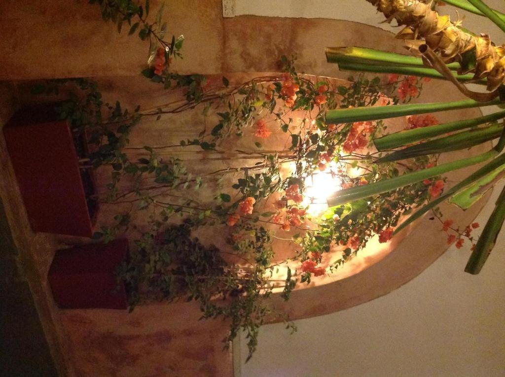Ryad Dar Ganou Marrakesh Ngoại thất bức ảnh